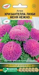 Астра китайская Хризантелла Люби меня Нежно 5шт ЕС