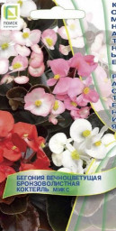 Бегония вечноцветущая бронзоволистная Коктейль Микс 25шт Поиск