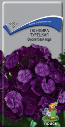 Гвоздика Турецкая Фиолетовая гора 0,25гр Поиск