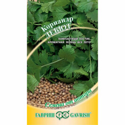 Кориандр Дебют 2гр ГШ