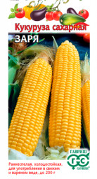 Кукуруза Заря сахарная 20шт/5гр ГШ