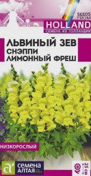 Львиный зев Снэппи Лимонный фреш Семена Алтая
