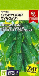 Огурец Сибирский Пучок F1 5 шт Семена Алтая