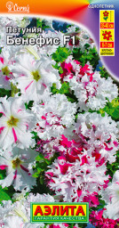 Петуния Бенефис F1 крупноцветковая бахромчатая драже 10шт Аэлита